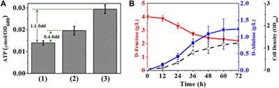 Metabolically Engineered Escherichia coli for Conversion of D-Fructose to D-Allulose via Phosphorylation-Dephosphorylation